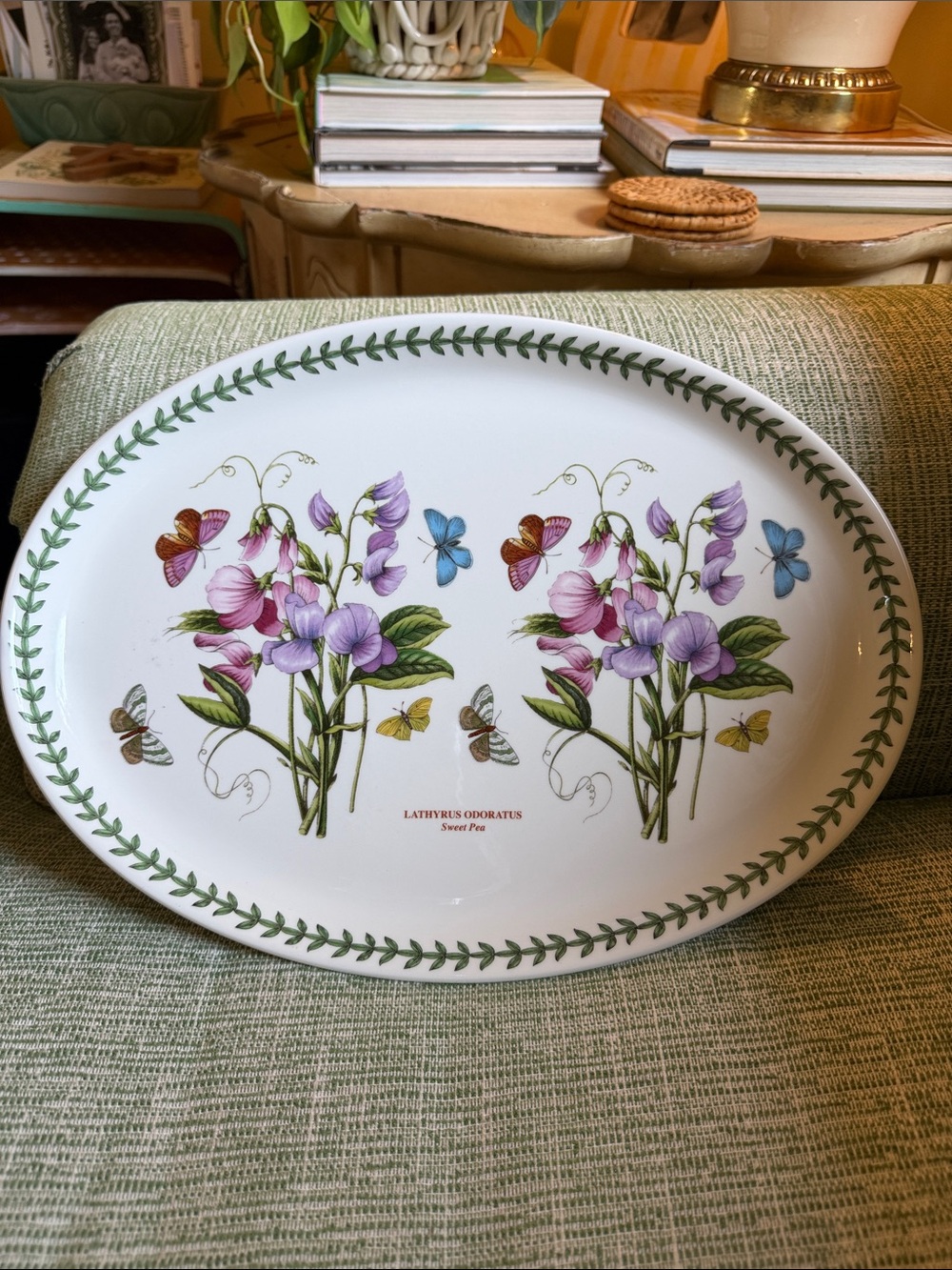 Portmeirion Botanic Garden Oval Steak Platter